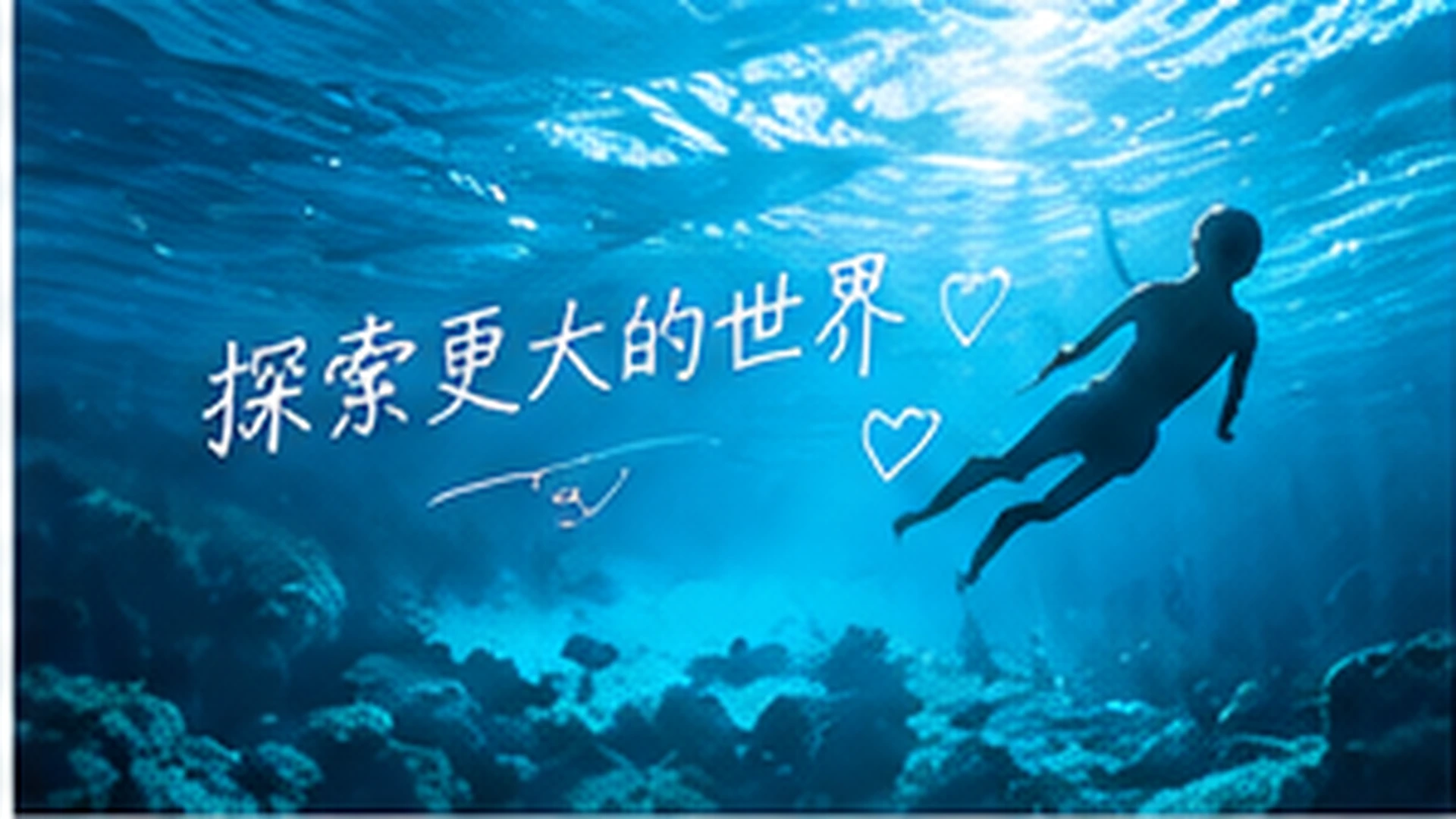 清晨菜市场的一小时|和阿岚一起看现场